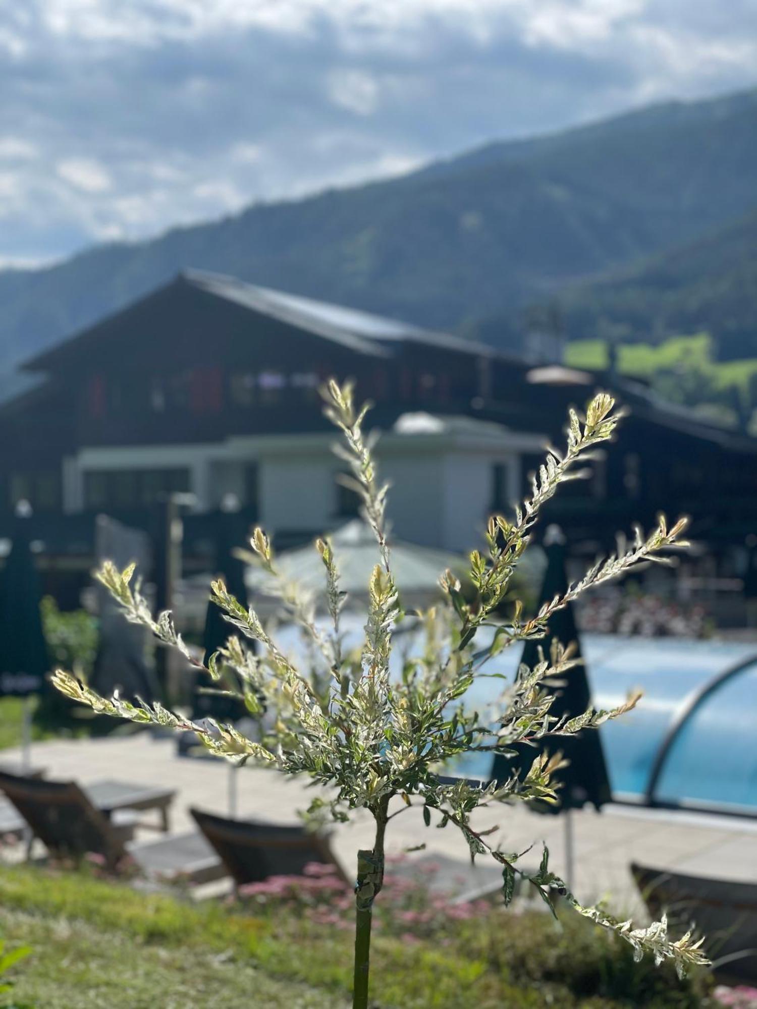 Hotel Senningerbraeu Bramberg am Wildkogel Bagian luar foto